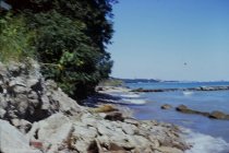 View north along the beach